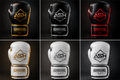 pack gants de boxe + protèges-tibias compétiteur